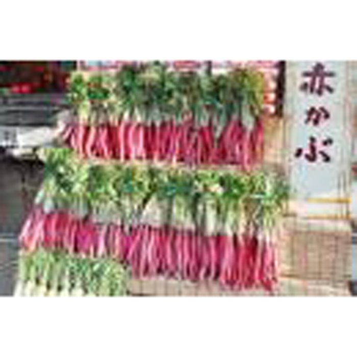 蓋物 乾山 犬山焼 カブ 赤蕪 黒蕪 訳あり 縁欠け 蓋物 乾山 犬山焼 カブ 赤蕪 黒蕪 訳あり 縁欠け