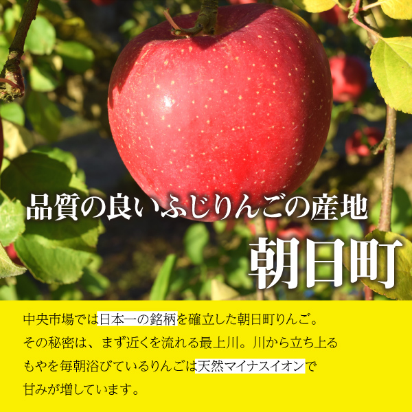 サンふじ　３ｋｇ　和合りんご　訳あり　家庭用　山形県朝日町和合産】　送料無料！（沖縄・離島を除く)