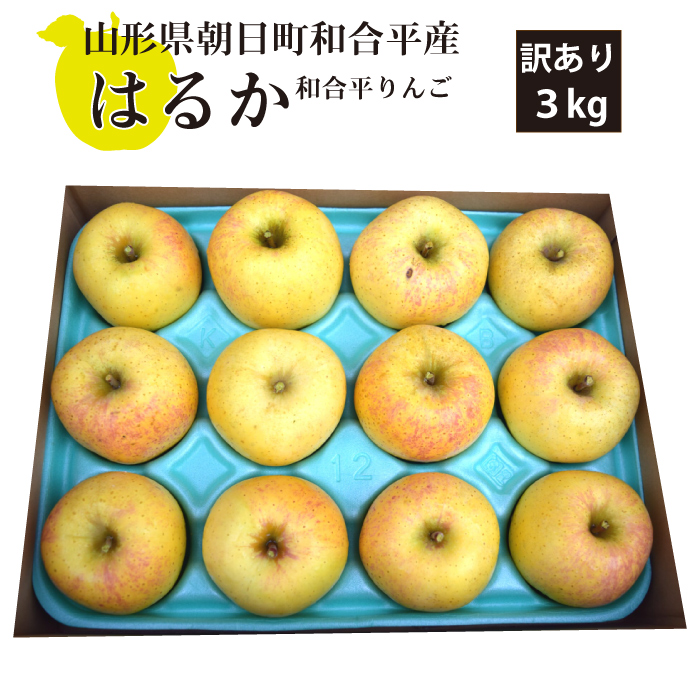 山形県朝日町和合平産】 和合平りんご はるか 蜜が入る黄色いりんご 訳