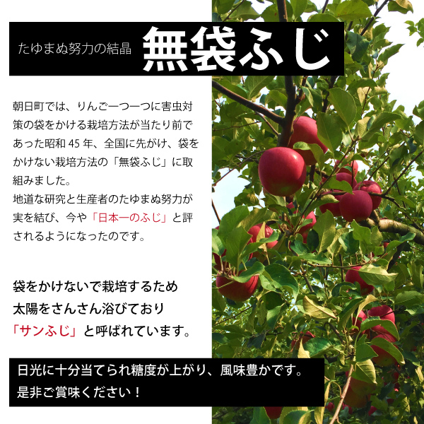 秋田県産リンゴ(さんさ) ご家庭用