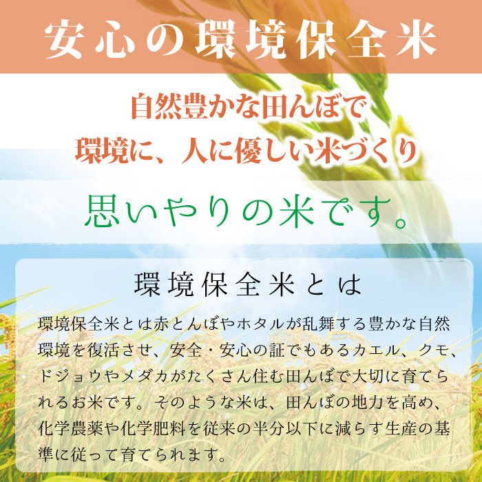 令和元年度 宮城県登米産 ひとめぼれ 玄米 ： 30kg 2等米 環境