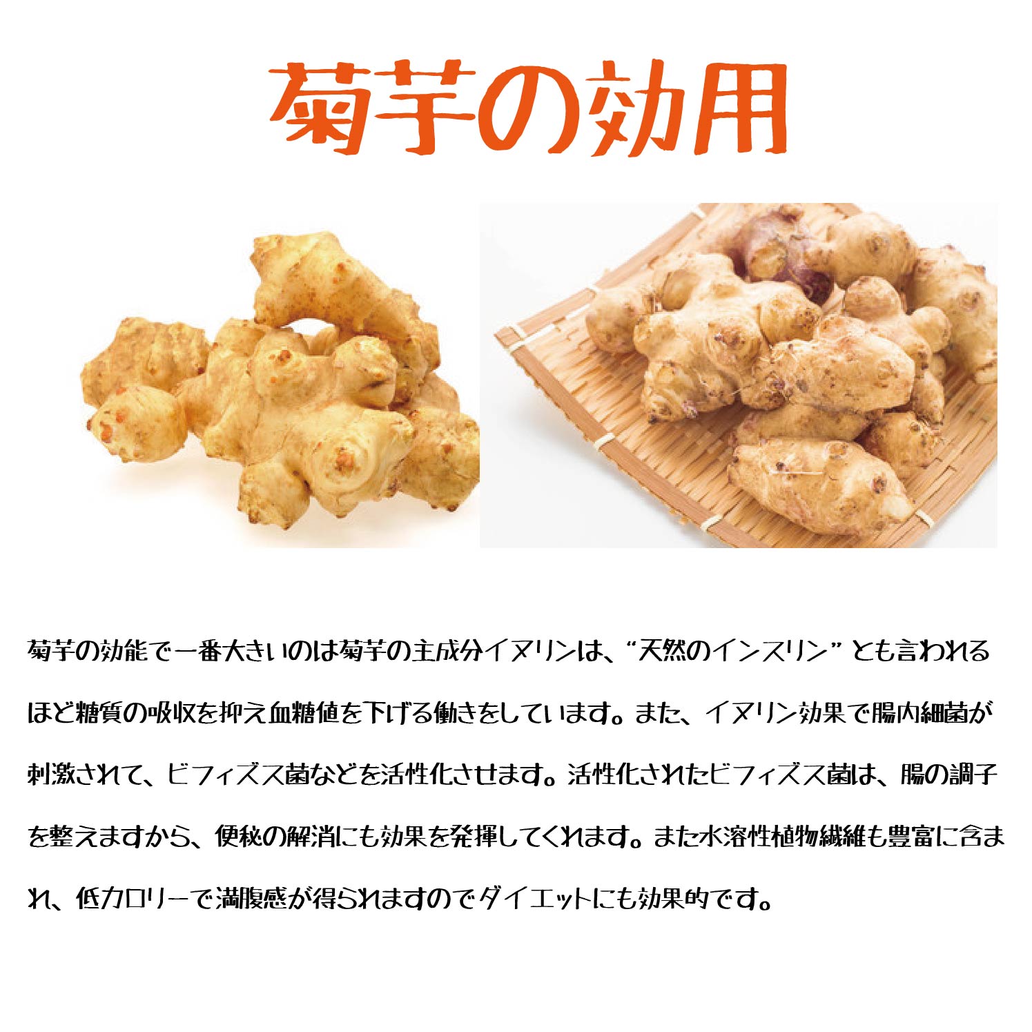 効能 菊芋 菊芋（キクイモ・きくいも）の栄養価と効用：旬の野菜百科
