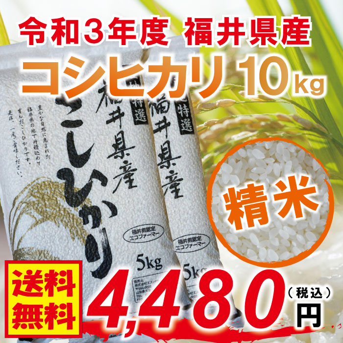 福井県産 精米】令和3年度 コシヒカリ：10kg(5kg×2) 特別栽培米 農薬節減 化学肥料未使用 フレッシュ真空パック 福井県認定エコファーマー  食味鑑定士のお墨付き！ 送料無料！（沖縄・離島を除く)