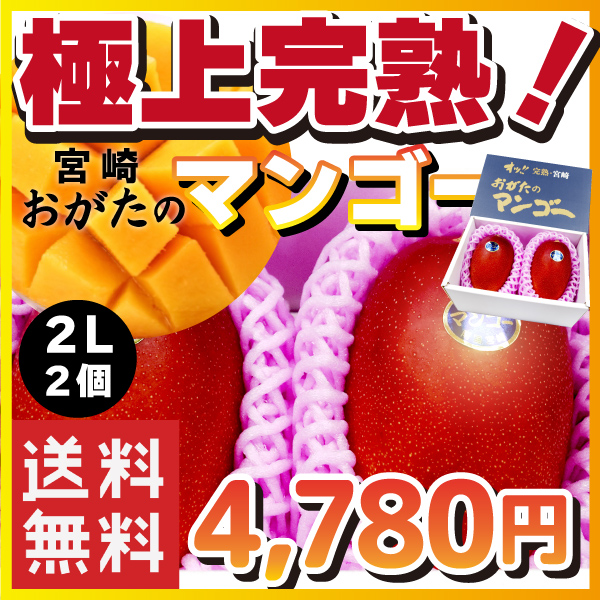 宮崎県産】オッ!! 完熟・宮崎 おがたのマンゴー 送料無料! 贈答用 2L