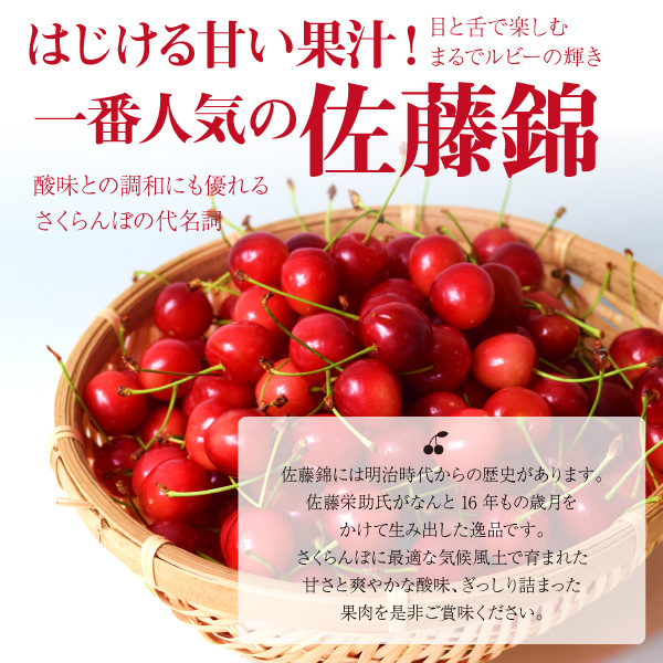 訳あり　さくらんぼ山形県東根市　佐藤錦　2kgばら　M~L