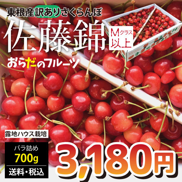 2023年先行予約】【山形県東根産 訳あり】さくらんぼ 佐藤錦 Mクラス ...