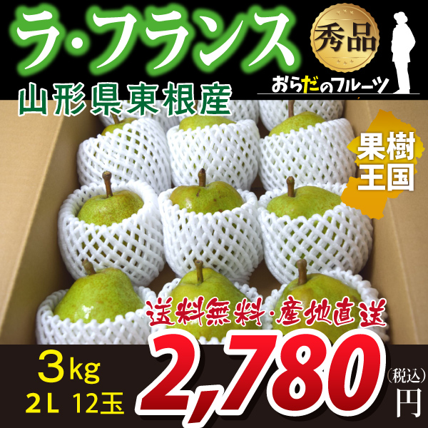 山形県東根産 ラ フランス 秀品 3kg 2lサイズ 12玉 産地直送 送料無料 沖縄 離島を除く 10月下旬 順次発送 山形県東根産 ラ フランス 秀品 3kg 2lサイズ 12玉 産地直送 送料無料 沖縄 離島を除く 10月下旬 順次発送