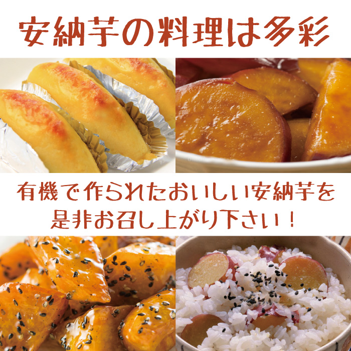千葉県産】有機さつまいも 安納芋 訳有り 10kg 有機JAS認定 安心・安全