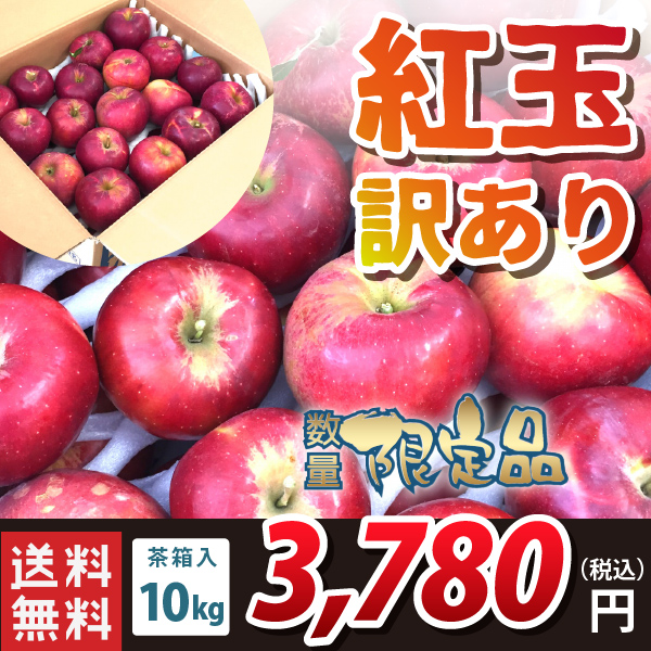 山形県朝日町和合産】 和合りんご サンふじ 加工用 ５ｋｇ 送料無料！（沖縄・離島を除く)時間指定可！