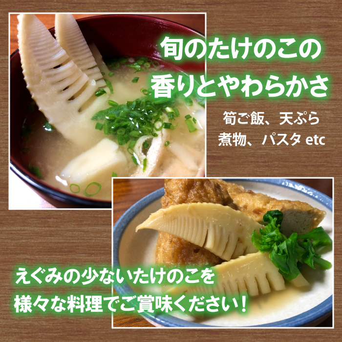 61WaZUrwLgL._AC_UF350,