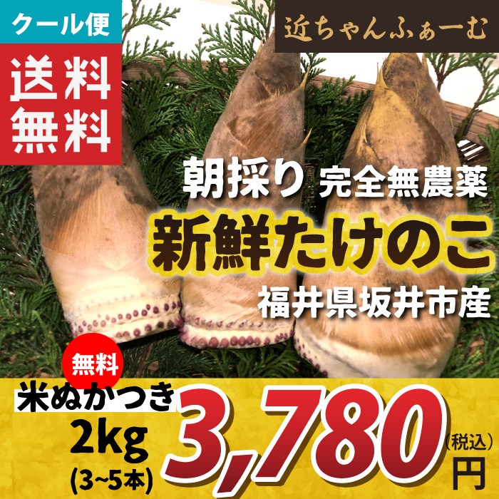 61WaZUrwLgL._AC_UF350,