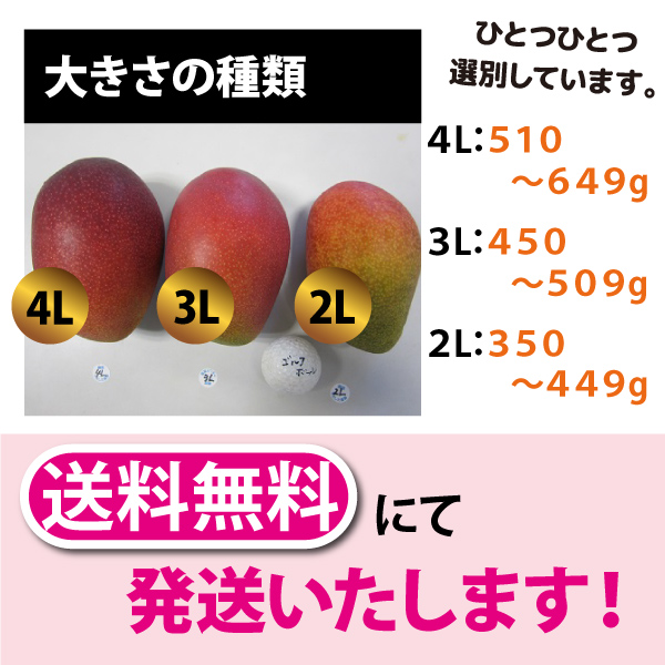 【訳あり】宮崎県産完熟マンゴー　約3キロ① 宮崎完熟マンゴー” 訳あり 1玉約300g以上 中玉Lサイズ《4玉以上